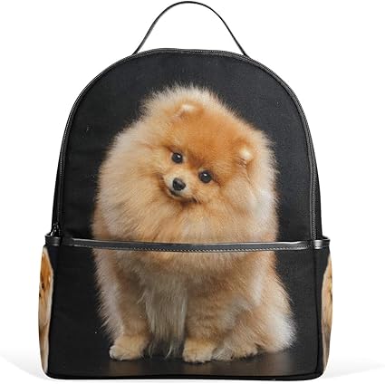 dog backpacks for school