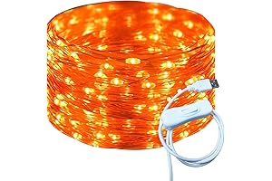 RUICHEN Silver Wire 33 Ft 100 LED Outdoor String Lights with On/Off Switch (Orange)