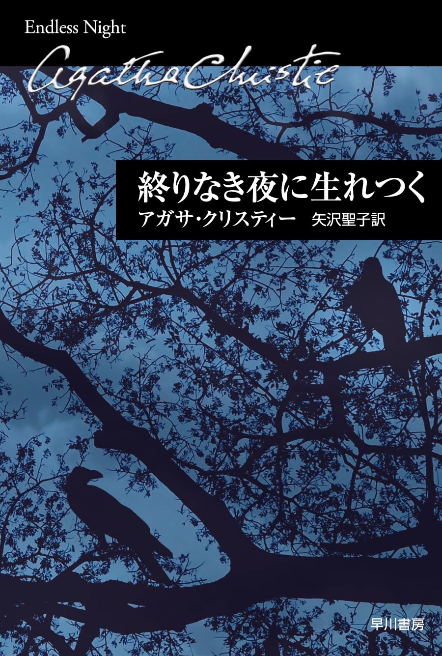 終りなき夜に生れつく (1977年) (ハヤカワ・ミステリ文庫) 終りなき夜に生れつく（クリスティー文庫） (ハヤカワ文庫