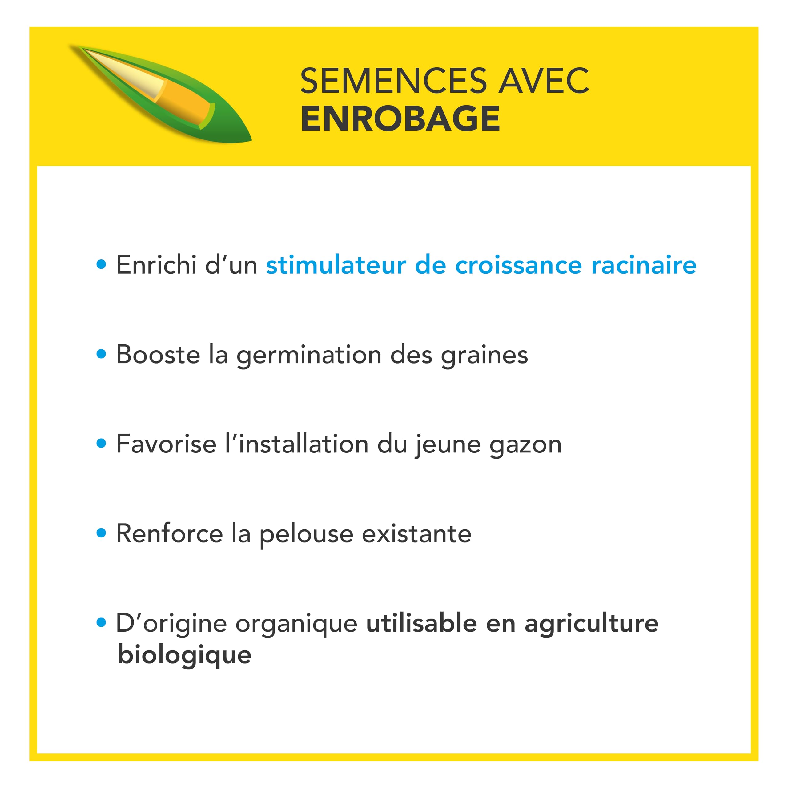 BARENBRUG - Soin Après Démoussage - Réparation Anti-Mousse - 3KG | Gazon Dense et Résistant - Germe Très Rapidement - Semences avec Enrobage - Fabriqué en France