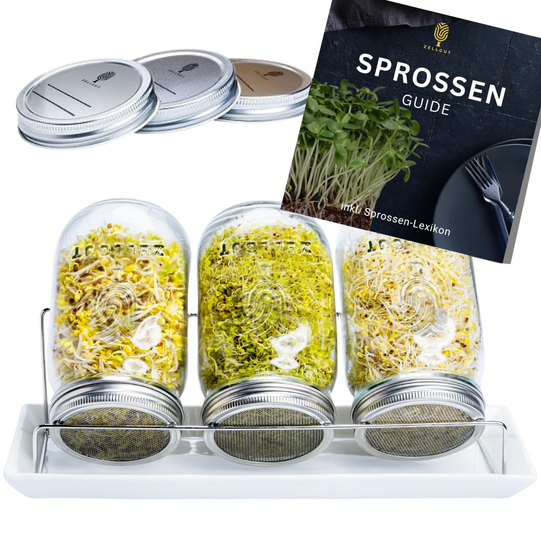 3-ER KEIMSET · 2 IN 1 SPROSSENGLAS