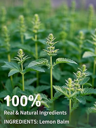 Vista 187 de TeeLux Mugwort Tea Bags - Té de hierbas de artemisa seca natural, sin cafeína, 40 bolsas de té