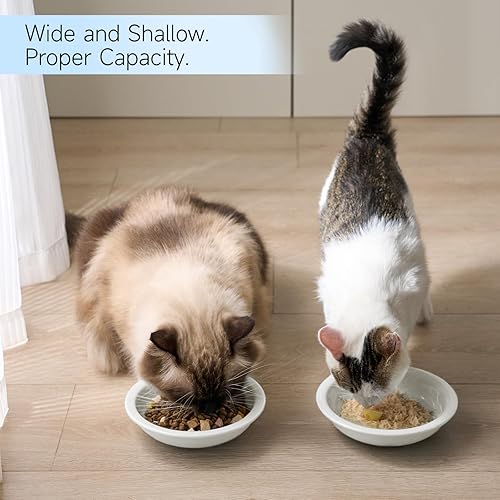 Miniatura 4 de Tazón de comida para gatos, 3 cuencos de cerámica más gruesos para gatos, platos blancos para gatos, plato de comida poco profunda para gatos,