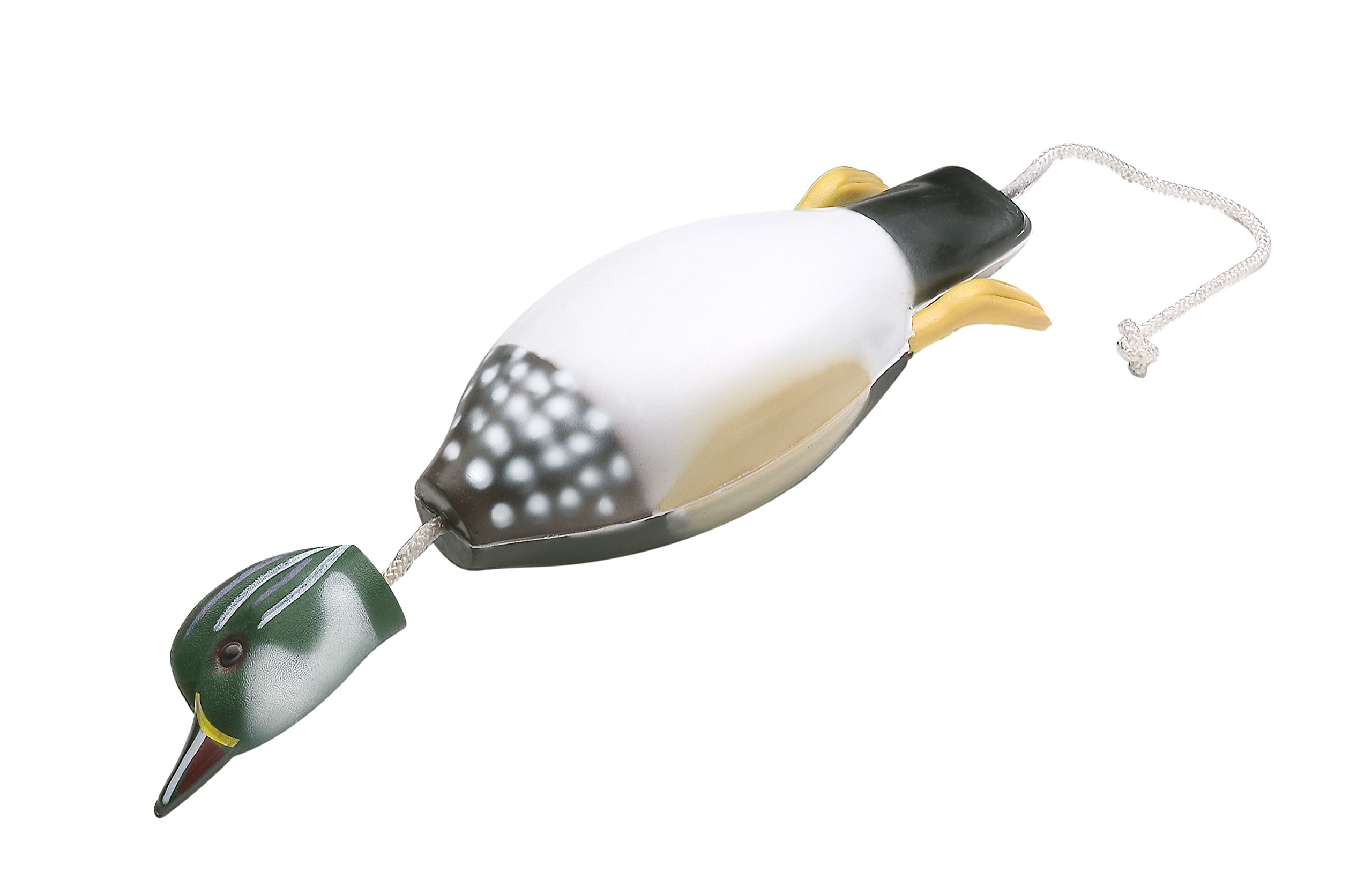 Dokken Wood Duck Dead Fowl