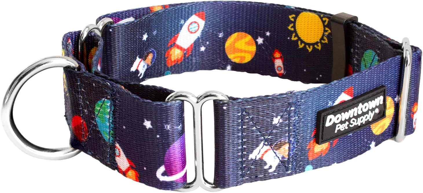 Downtown Pet Supply - Martingale Collar for Dogs - Dog Training Collar - Big, Wide & Thick Dog Collar - Escape-Proof, Weatherproof, Durable and Comfortable - Space - Medium Dog Collar