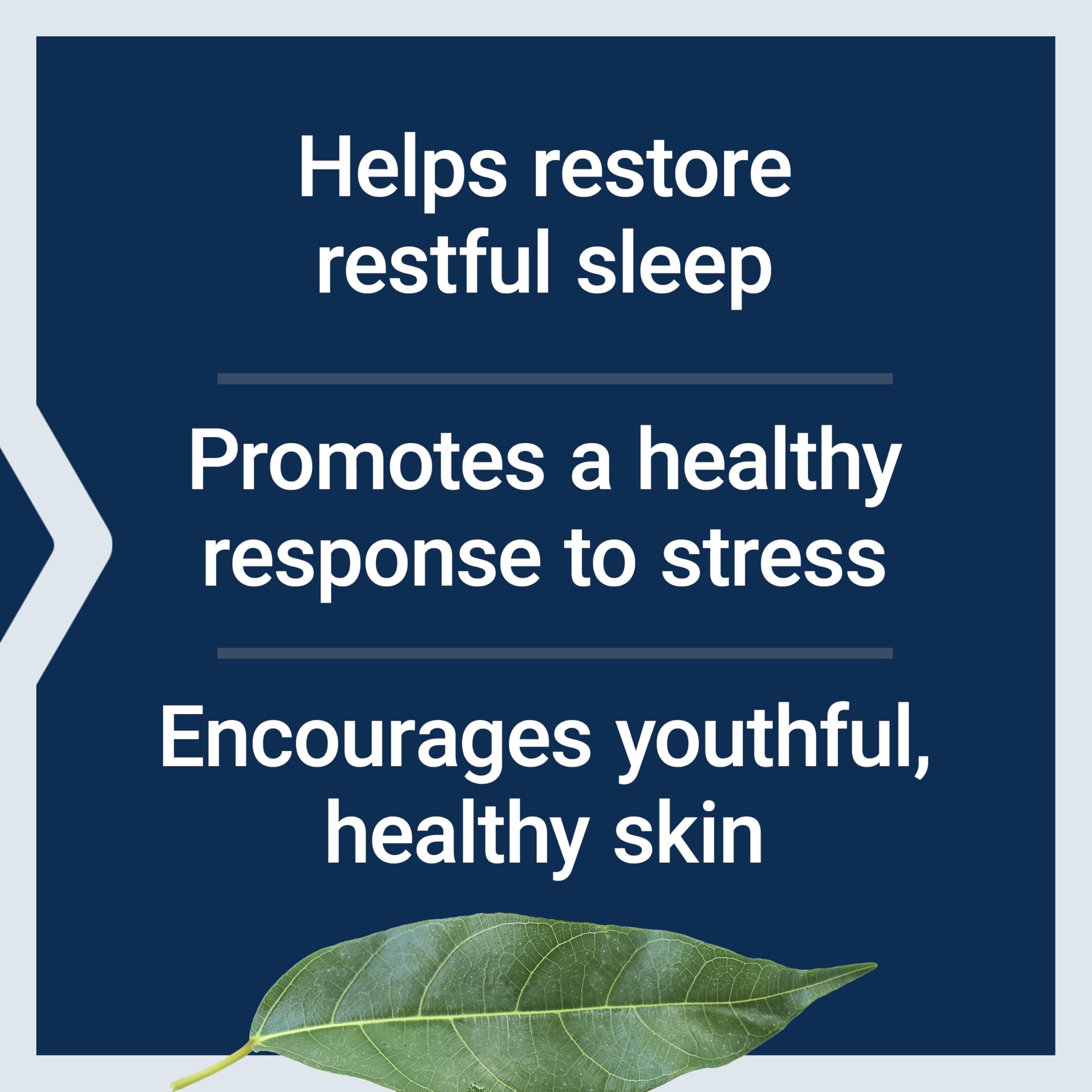 Life Extension Enhanced Sleep Without Melatonin, 30 Capsules — Amazon image 4