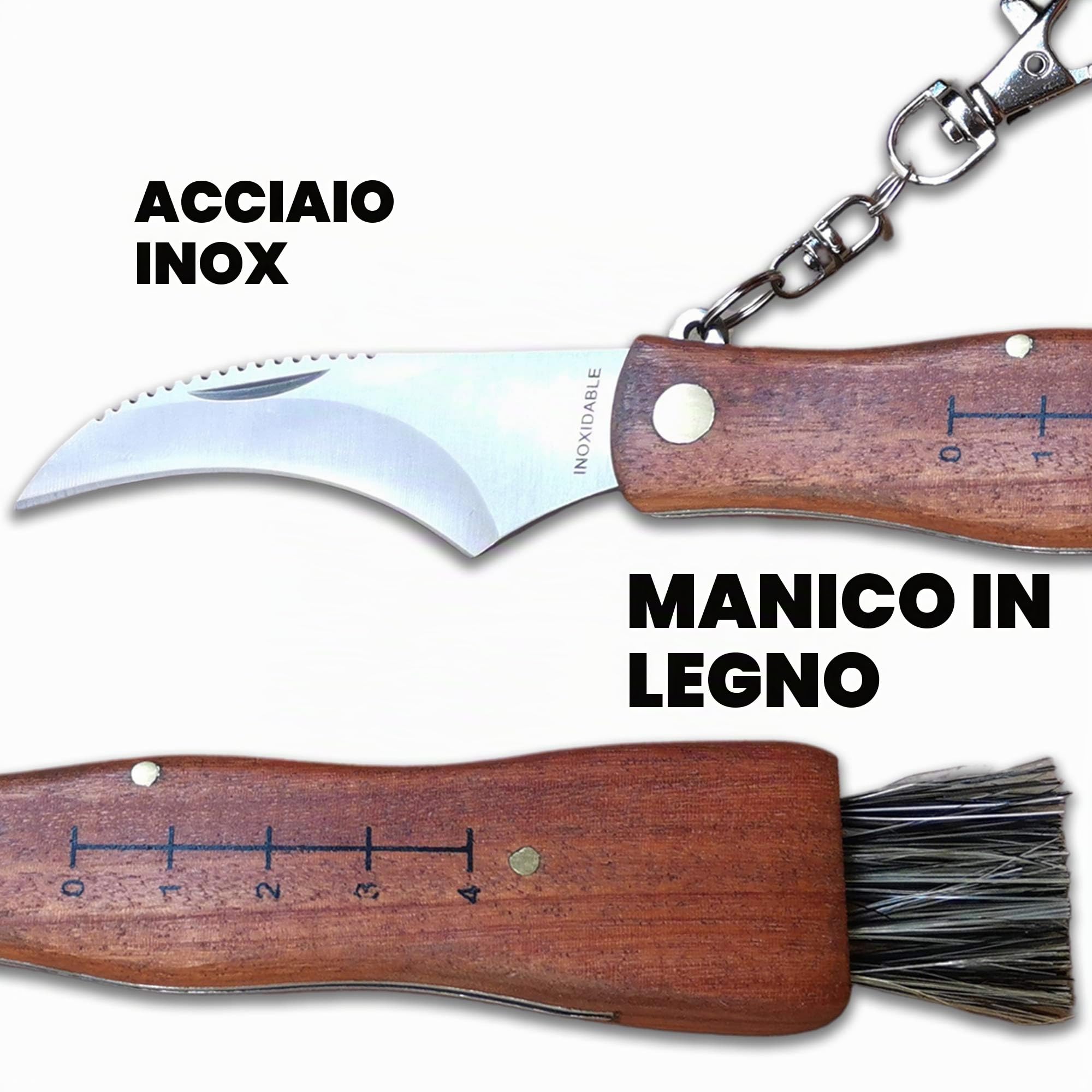 coltello per funghi, in acciaio inox, con custodia, coltello incluso, coltello micologica