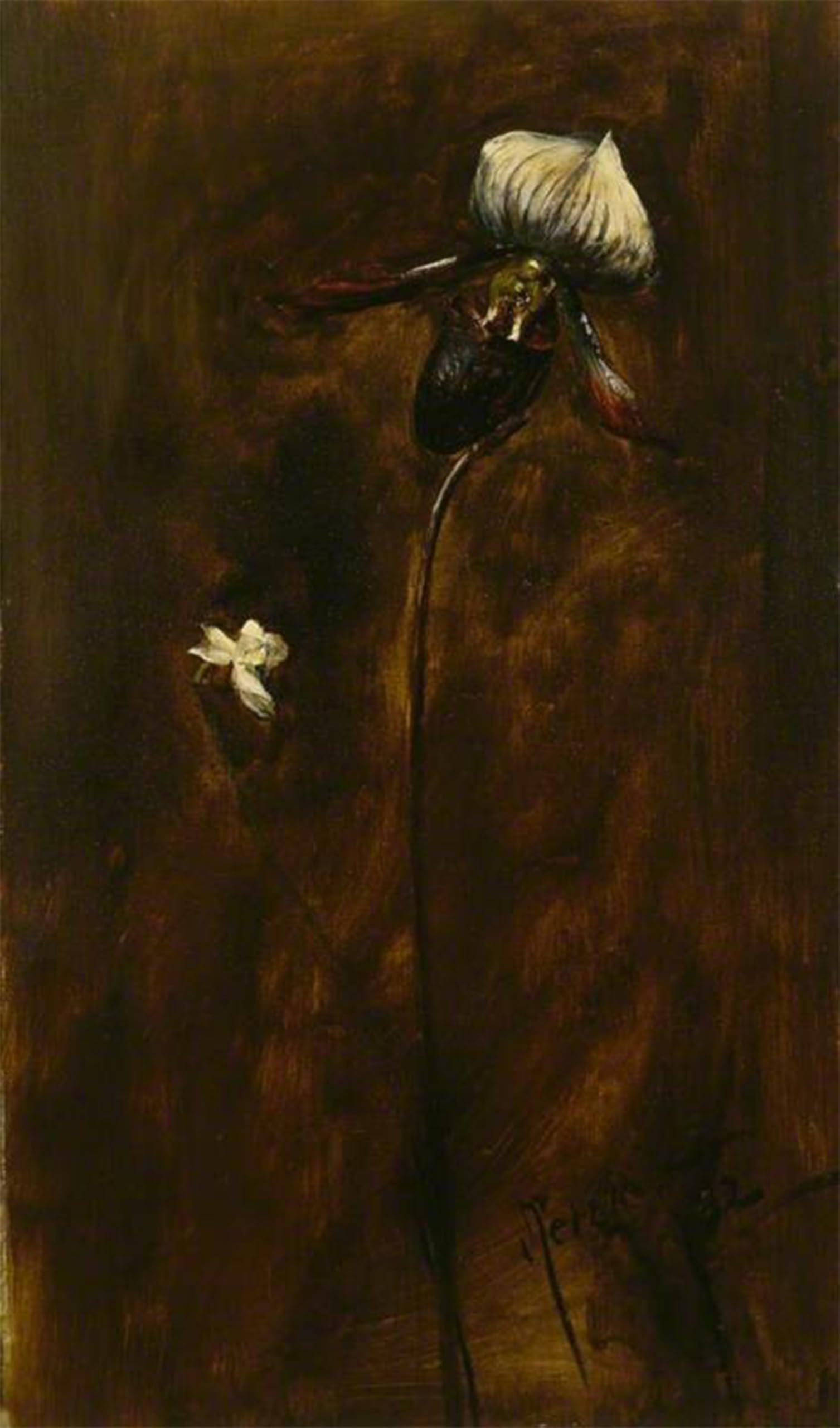 Toile étude de deux fleurs par John Pettie grand format pour mur vide - 5