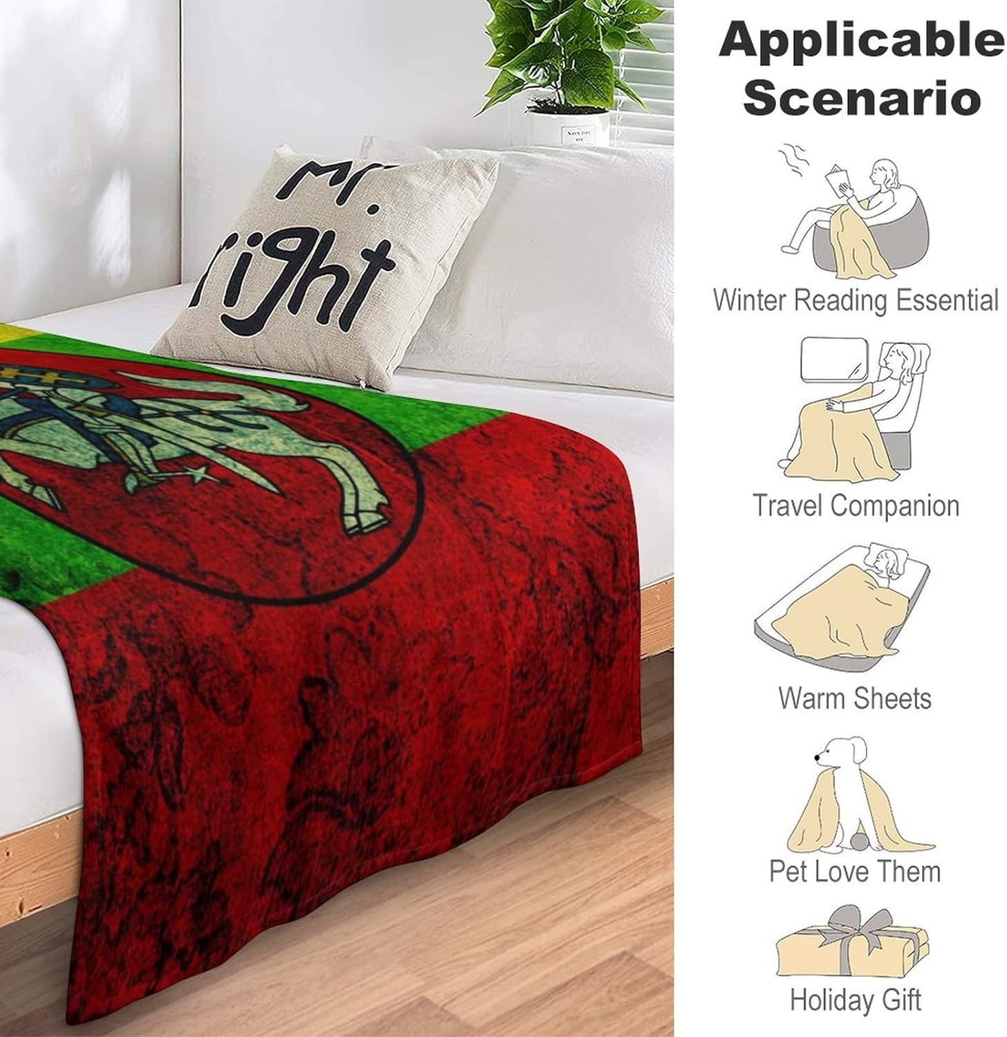 Lithuanian Flag Flannel Throw Blanket Soft Cozy Plush Bed Blanket for Couch Sofa Bedroom 60"x80"