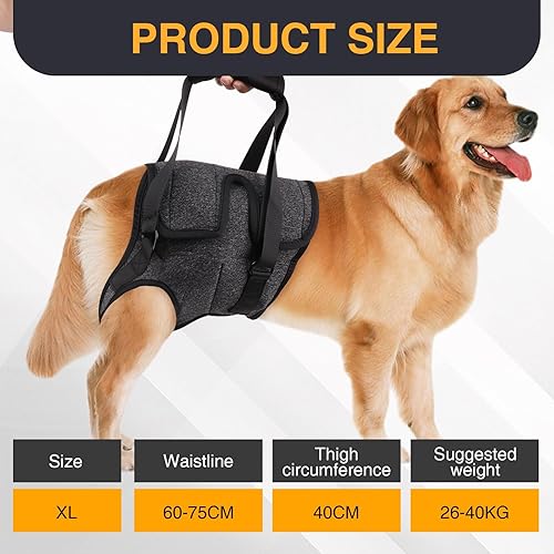 Miniatura 6 de Arnés de elevación ajustable para perros medianos y grandes, soporte de pierna trasera (talla XL)