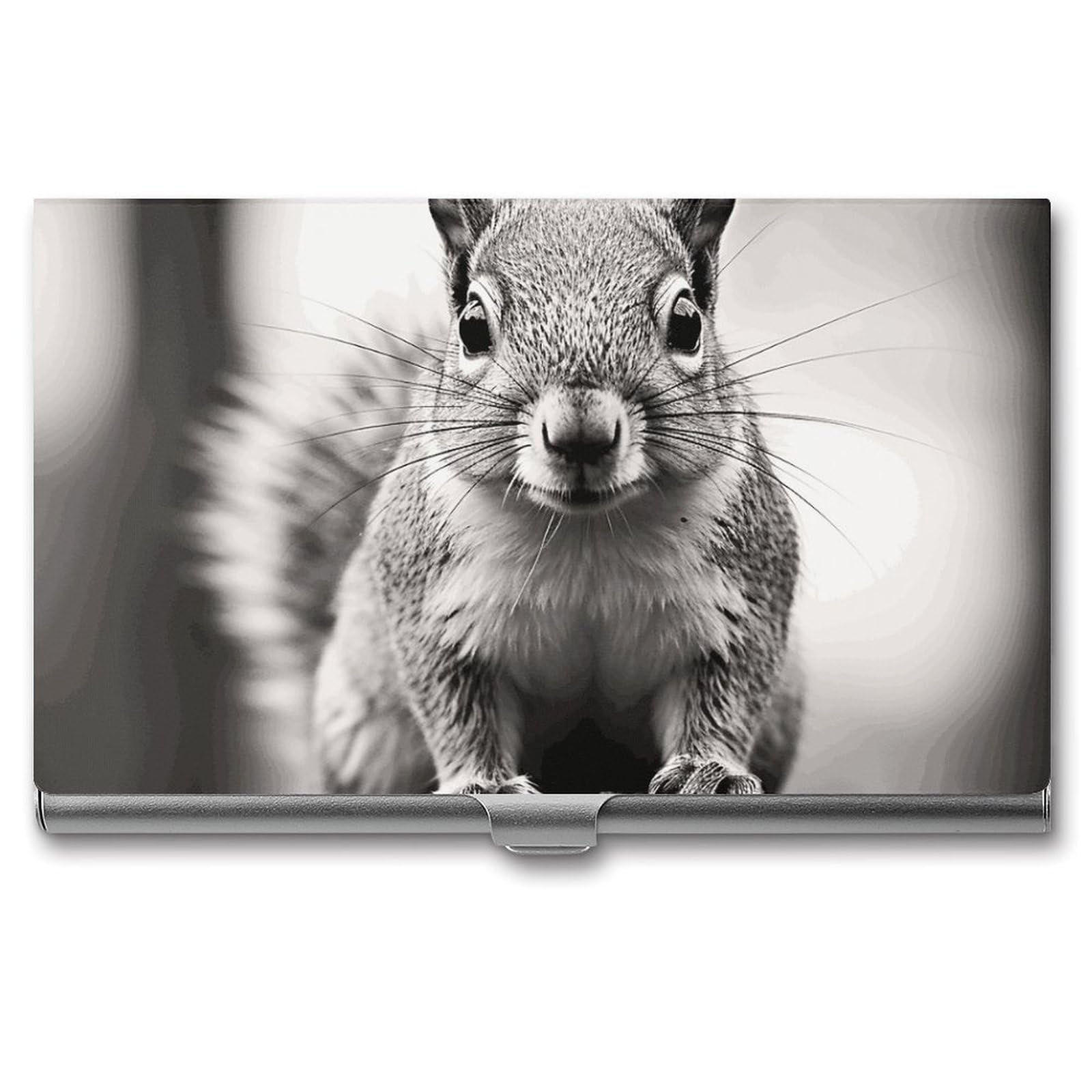 BTCOWZRV Light Gray Squirrel Business Card Holder Metal Slim Business Card Case, Pocket Card Holder for Men Women Purse Name Card Holder Stainless Steel Wallet Credit ID Case for Office