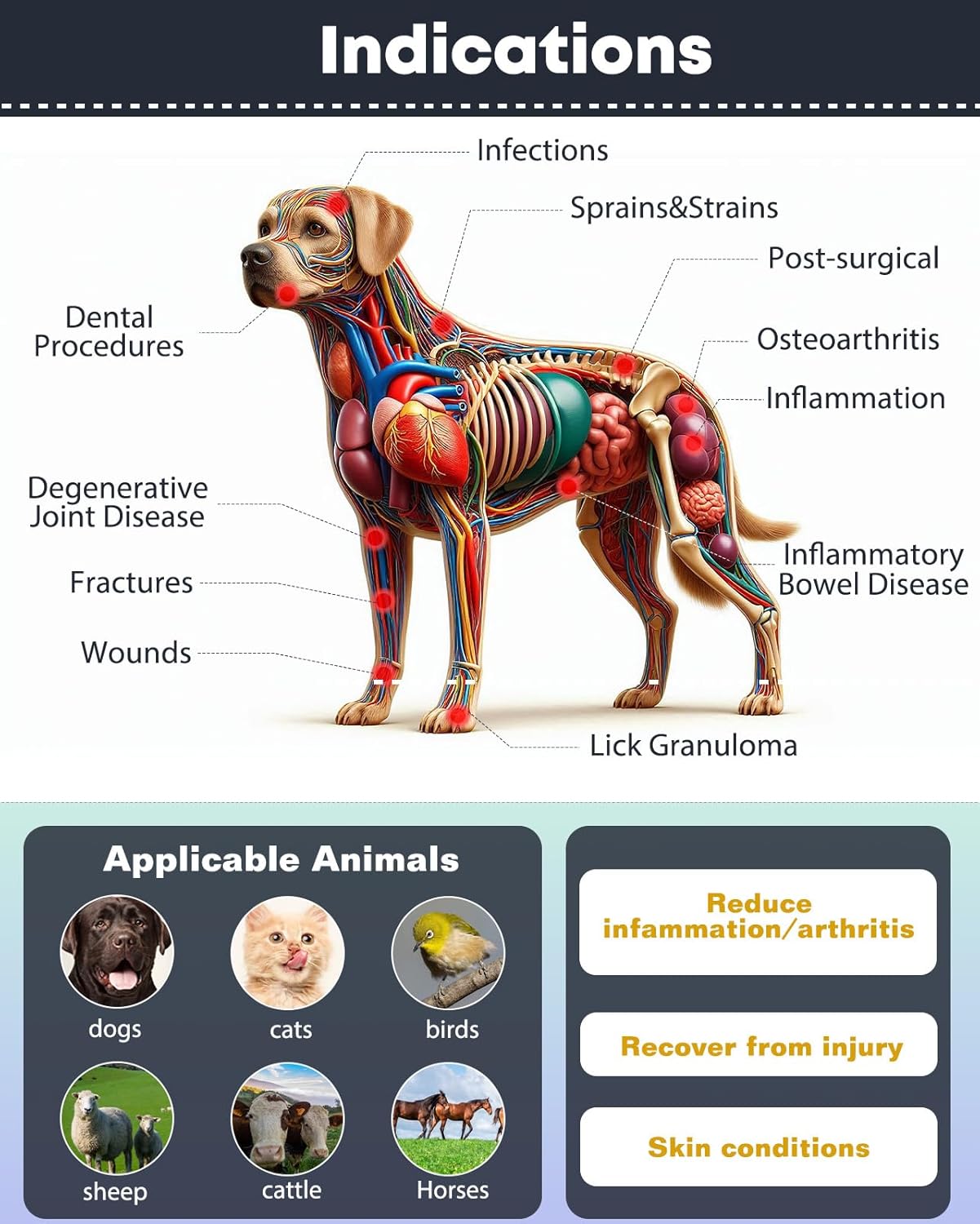 Red Light Therapy for Dogs, 410nm, 660nm & 850nm Handheld Infrared Red Light Therapy Device for Dog Arthritis Pain Relief, for Joint Pain and Reduce Inflammation, Infrared Light Therapy for Your Pets