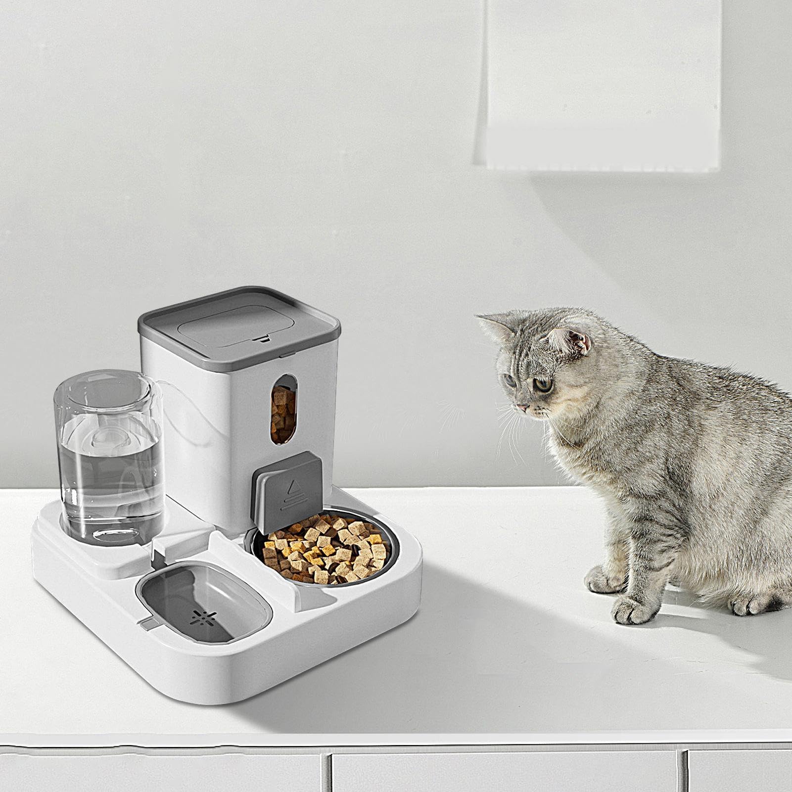 Contenitore for alimenti for cani(Gray)
