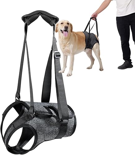 Arneses tipo halter para perros, arnés de elevación ajustable para perros grandes, cabestrillo para perros medianos, soporte de pierna trasera para