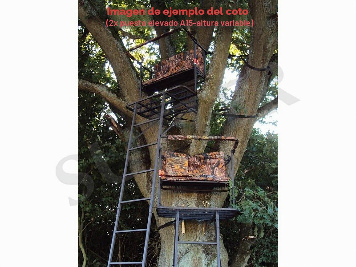 SUTTER Silla elevada portátil y Escalera de Puesto de Caza/Altura: 4,5m / Protector para Armas Ajustable y Asiento abatible