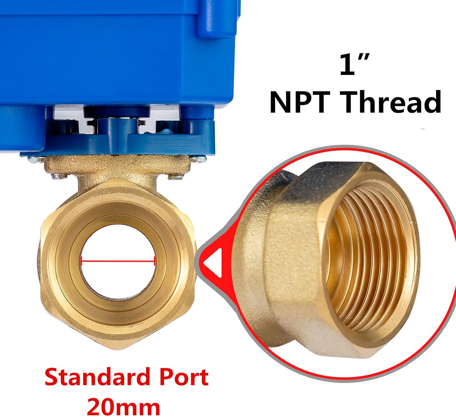 1" Motorized Ball Valve Brass Ball Valve with Standard Port, 9-24V AC/DC and 2 Wire Auto Return Setup