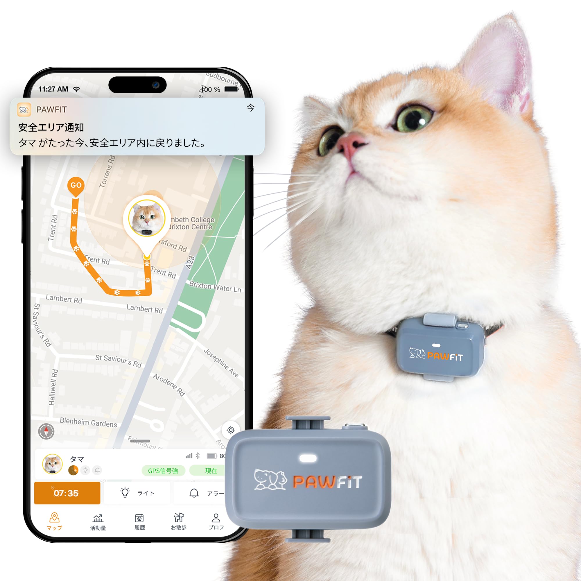 Amazon.co.jp: Pawfit Lite 4G GPS猫用トラッカー リアルタイム追跡 超