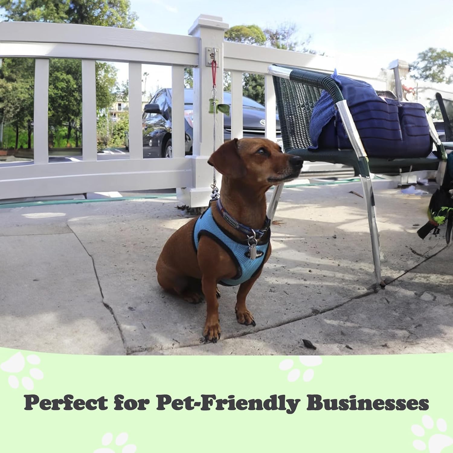 Canine Hitch- Secure Dog Leash Parking Mounted Indoor U00e2u20ac