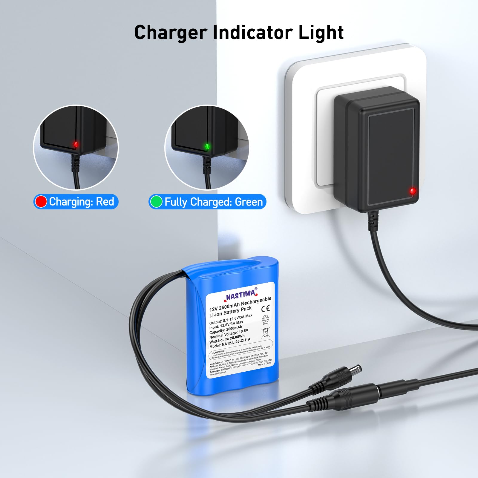 NASTIMA 2600mAh 28,08Wh 12V Batterie Lithium-Ion Rechargeable Adaptée aux Appareils Photo, Caméscopes, Lecteurs MP3, Claviers Électroniques, Routeur, Radio, etc. Chargeur et Connecteur Inclus