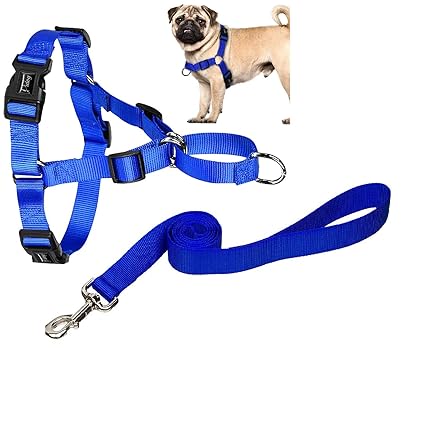 Goofy Tails Soft Body Set Leash+ Harness Plain Blue for Dog (2.5 inch)