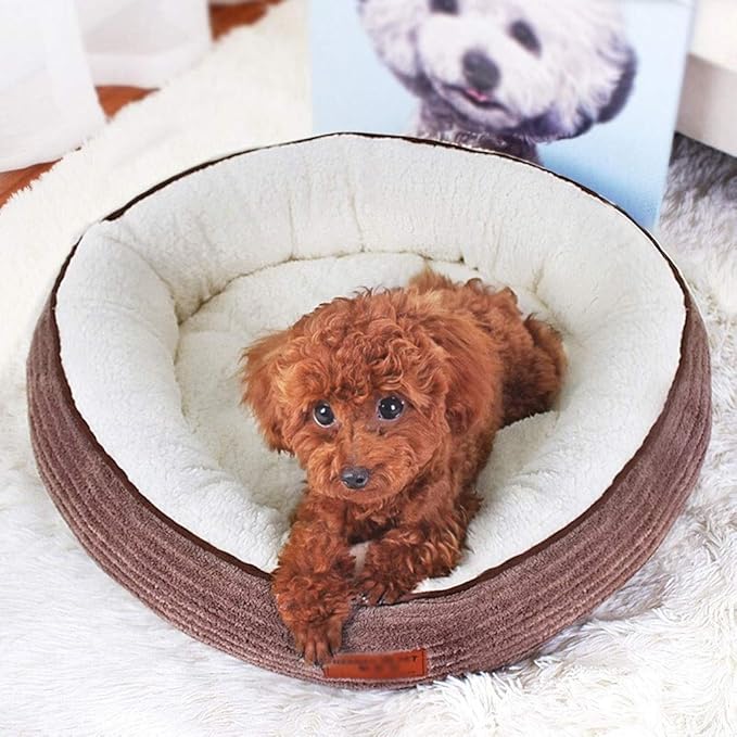 Cama Redonda para Perro Pequeño Lavable y Portátil miniatura 5