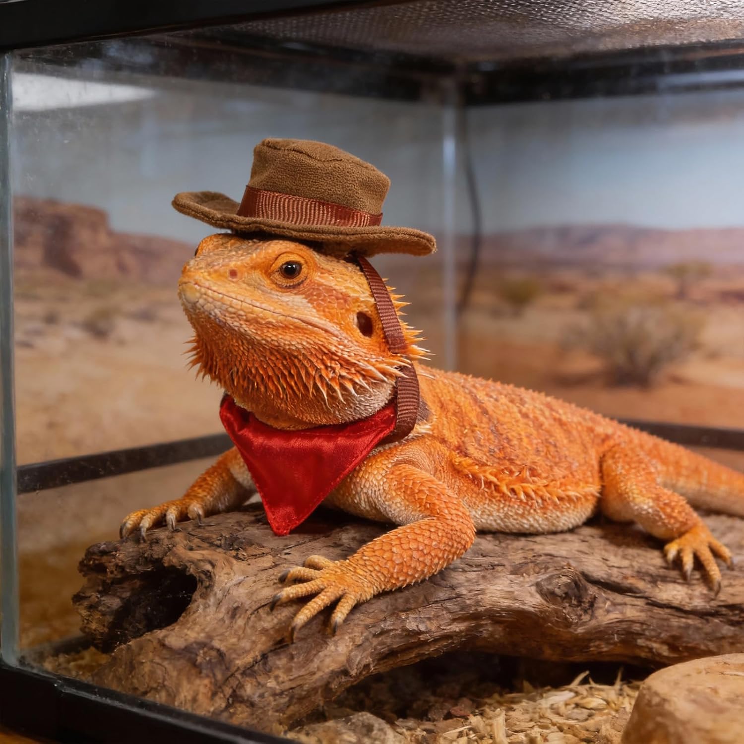 2Pcs Bearded Dragon Hat and Bandana Set Adjustable Lizard Cowboy Hat and Red Bandana Scarf Bearded Dragon Outfits Halloween Costume Photo Props for Small Animal Reptile Lizard Gecko Outfits (Brown) image 4