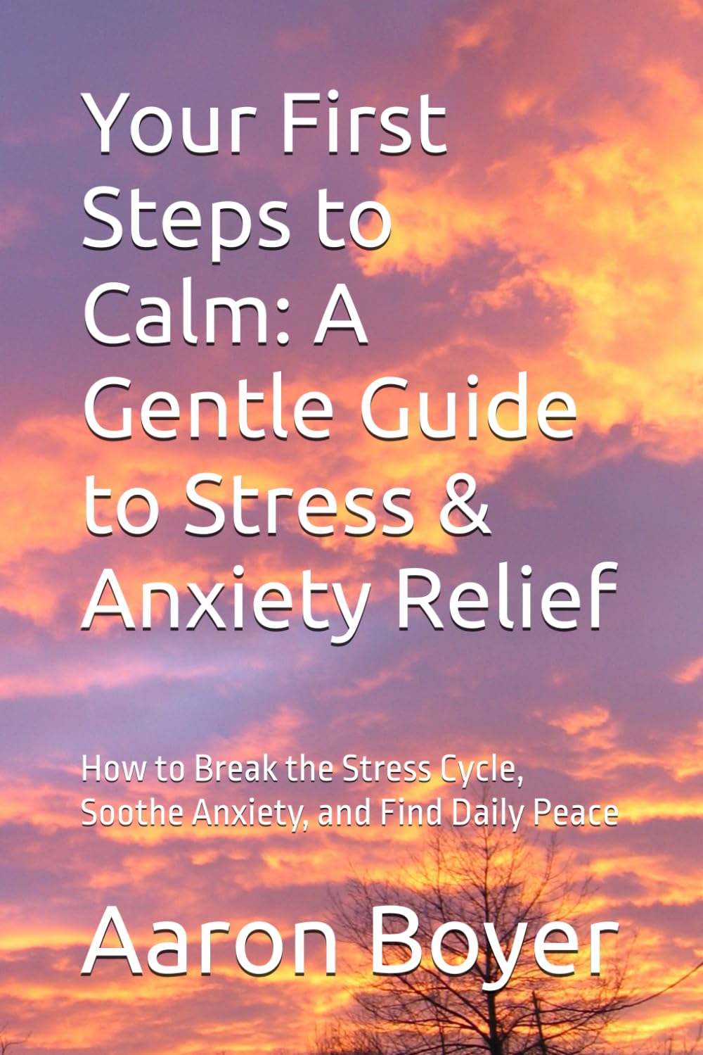 Your First Steps to Calm: A Gentle Guide to Stress & Anxiety Relief: How to Break the Stress Cycle, Soothe Anxiety, and Find Daily Peace