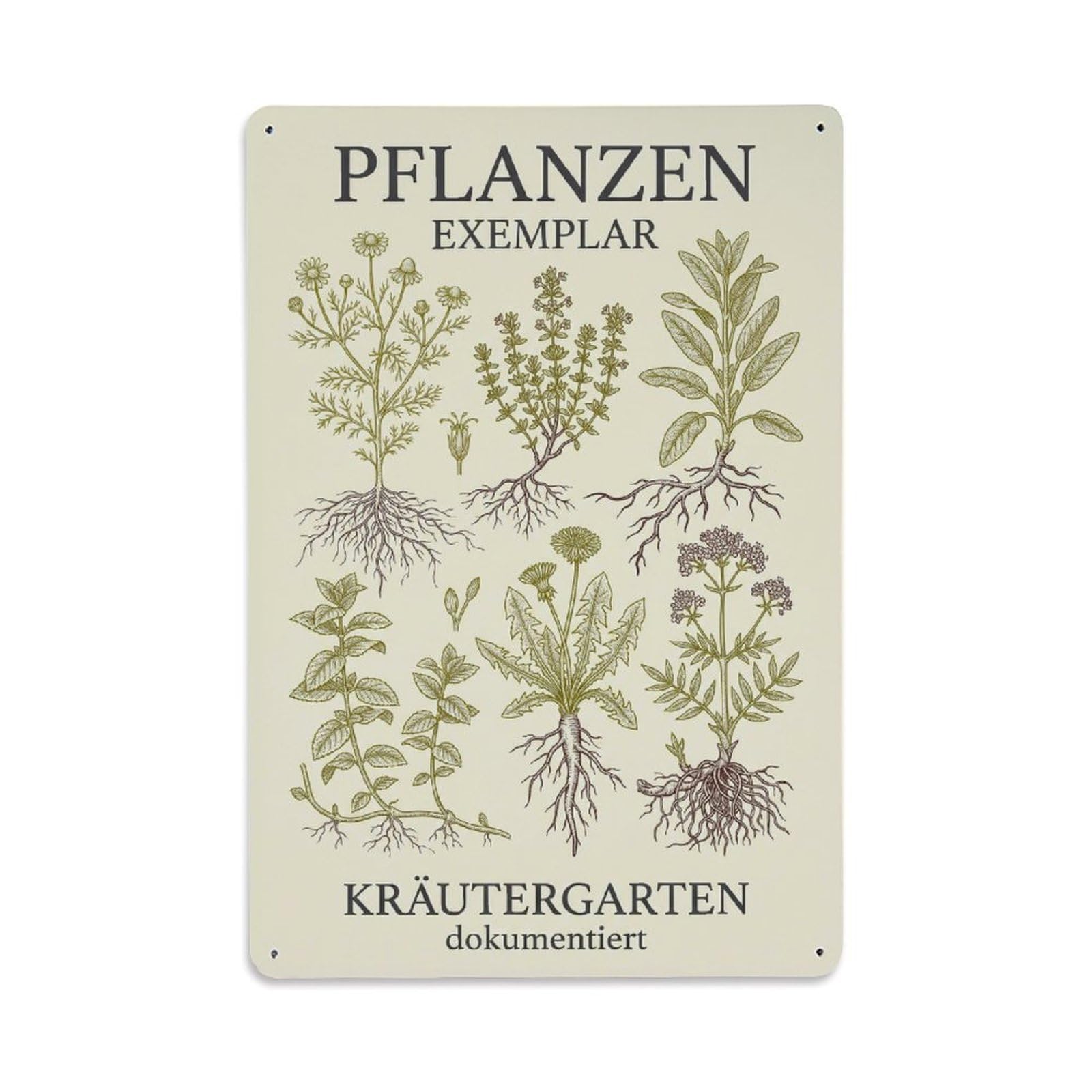 Vintage Funny Garden Plant Specimen Rustic Gate Windowsill Metal Tin Sign Plaque Wall Decor for Cafe, Club Bar, Office, Garden Metal Poster 8x12Inch