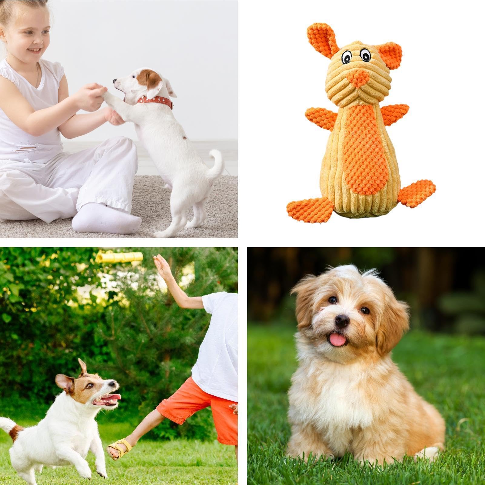 Morbidi giocattoli per cani cigolanti, giocattoli interattivi per cani di