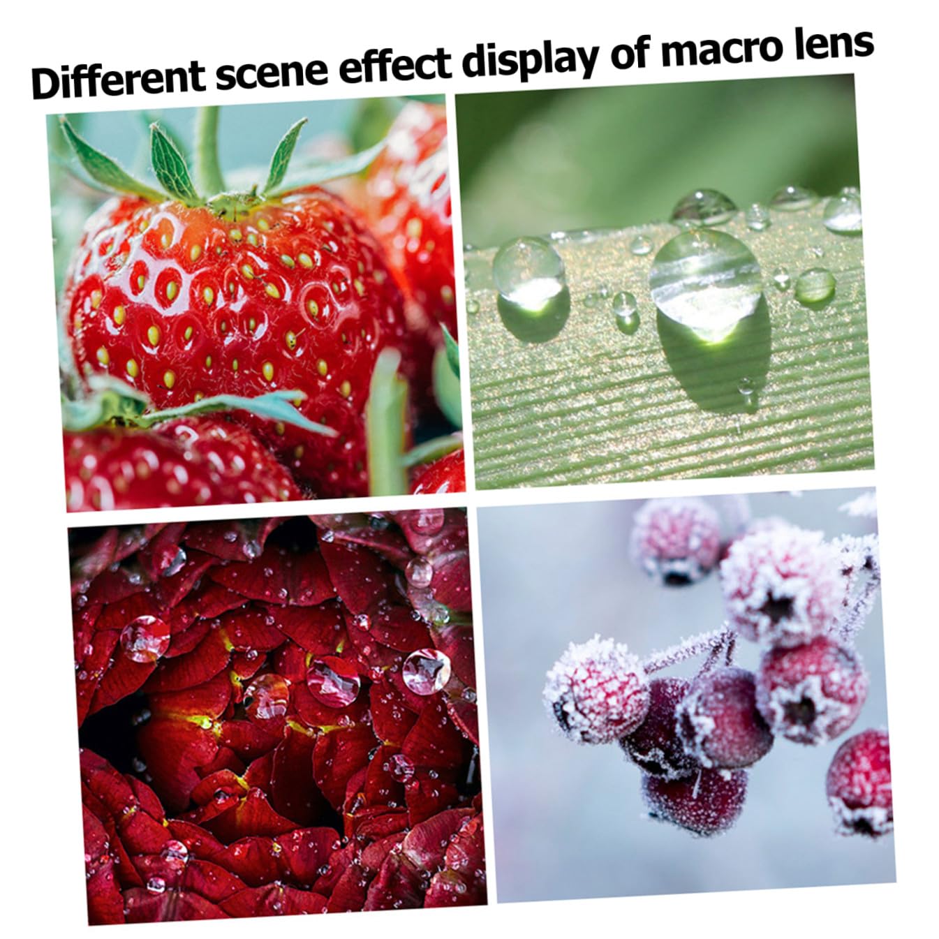 Mikinona Kit Di 3 Lenti Macro Per Fotocamera Del Telefono 37 Mm Grandangolo Senza (15x/30x)