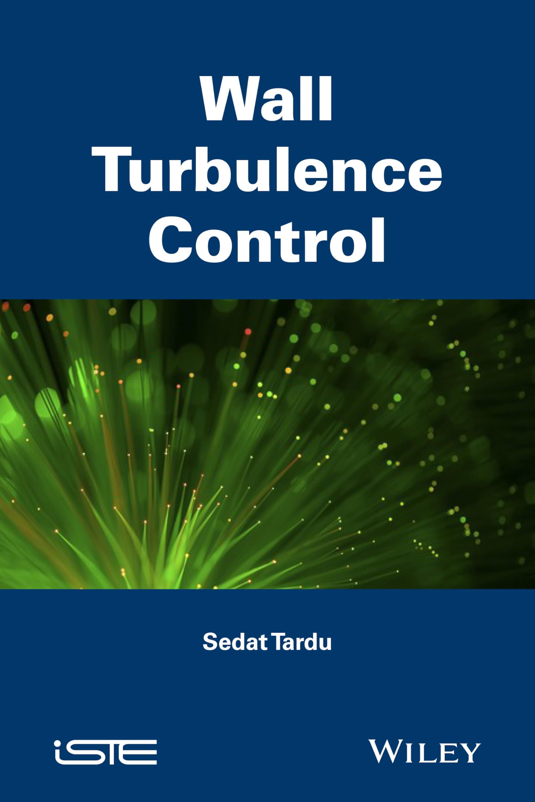 Buy Wall Turbulence Control (Fluid Mechanics) — BookShops.in
