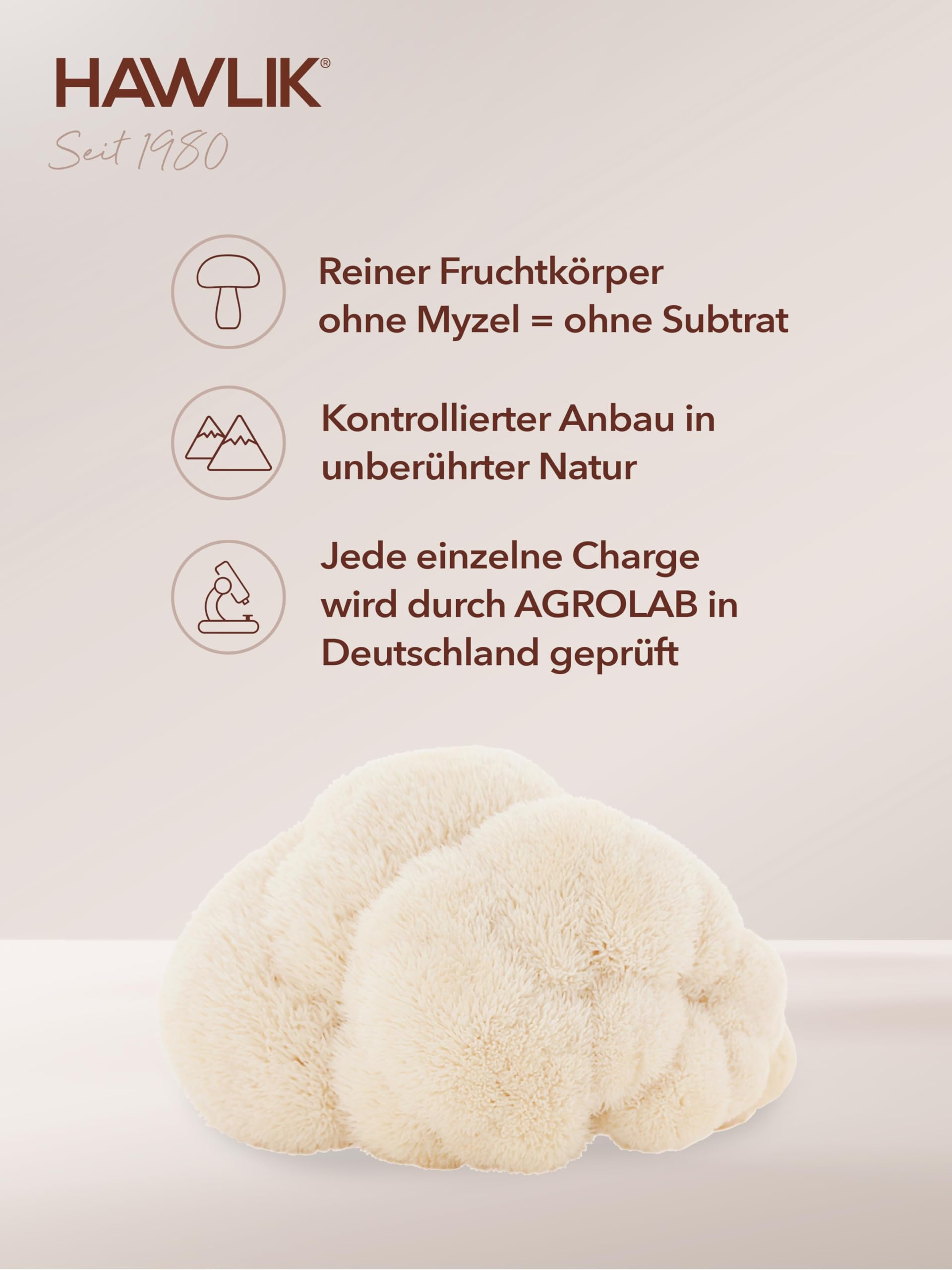 HAWLIK Vitalpilze Bio Hericium Pulver Kapseln - 120 Kapseln - 500 mg Bio-Vitalpilz Pulver - Magenfreundlich - Natürlicher Anbau - Vegan - Zuckerrohr-Dose