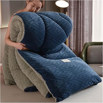 ZTGL Super Warm Lamb Velvet Fabric Winter Quilt Thickened Warm Breathable Cashmere Comforter Core, Heavy Weighted Blankets, Double Sided Duvet Quilt for Cold Weather,D,200x230cm/4kg [Energy Class A]
