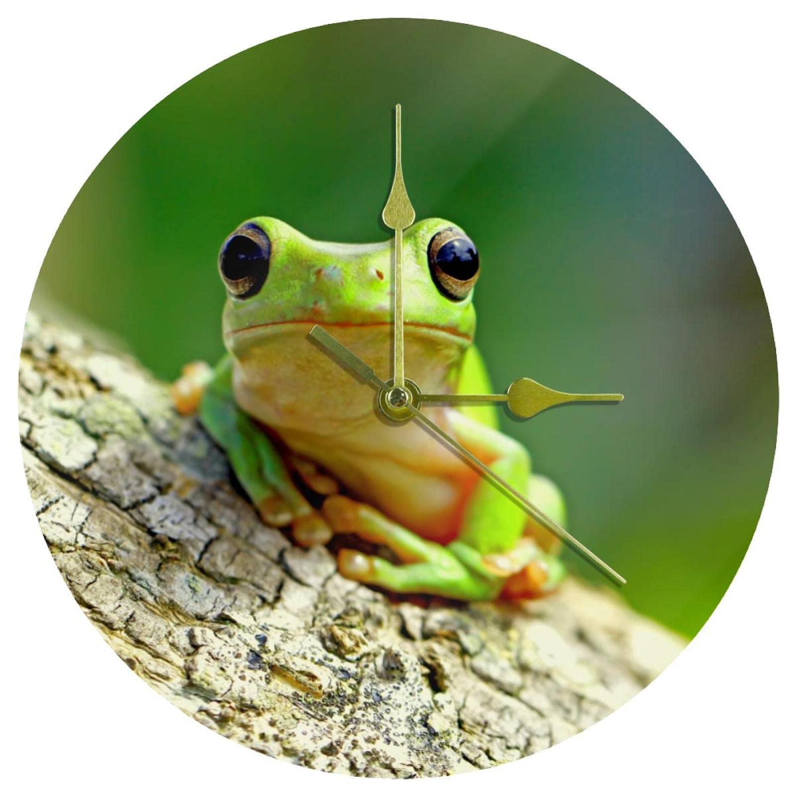 Horloge murale ronde originale motif grenouille à offrir pour une crémaillère