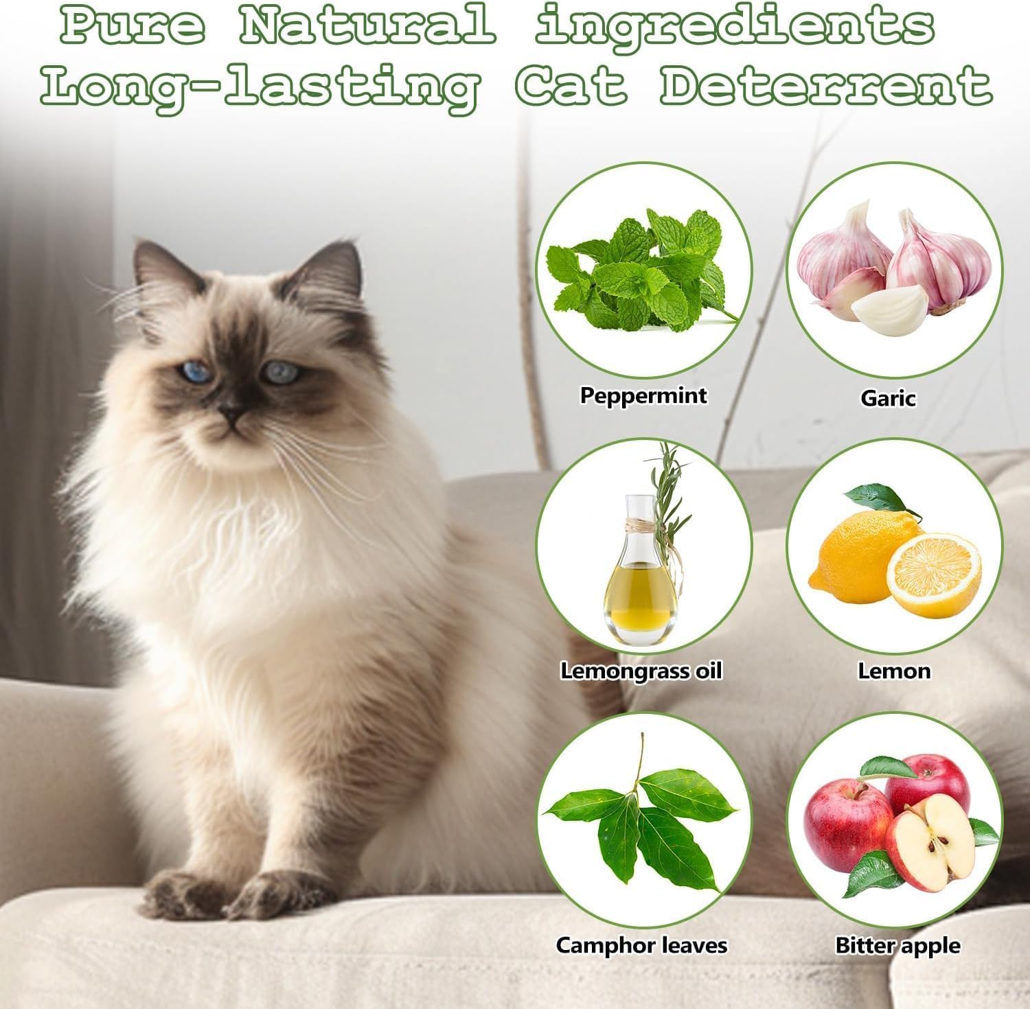 Cat and Dog Repellent for Home & Garden | Natural Peppermint Oil Pet Deterrent to Prevent Scratching & Chewing on Furniture, Curtains, Plants | Indoor & Outdoor Use | Safe for Family & Pets | (1) pack of 10 1