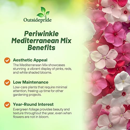 Miniatura 3 de Outsidepride Mediterranean Mix Semillas de bígaro para plantar, 50 unidades, anuales, de floración rápida, tolerantes al calor y a la sequía con