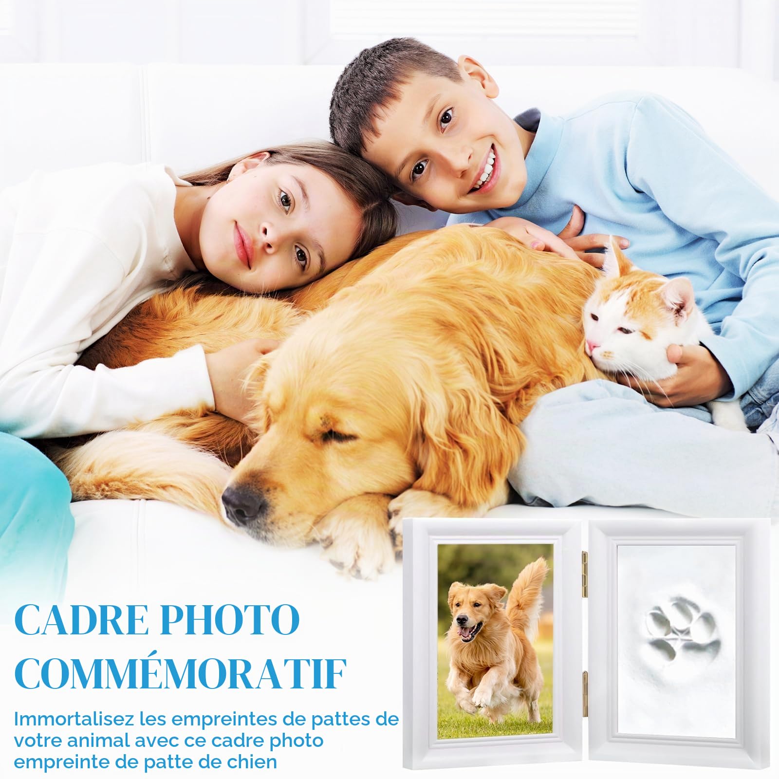 Ensemble D'empreintes de Pattes Chien et Chat, Moulage en Plâtre 3D - Boîte Souvenir, Ensemble Cadre Photo et Empreinte de Patte, pour Cadre Photo Imprimé Pattes D'animaux