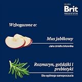 Brit Premium by Nature Indoor sucha karma dla kotów domowych, smak kurczaka, zapobiega powstawaniu kulek włosów, 300 g