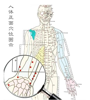 Zzooi Set of 2 Human Body Acupuncture Point Map, Chinese Version