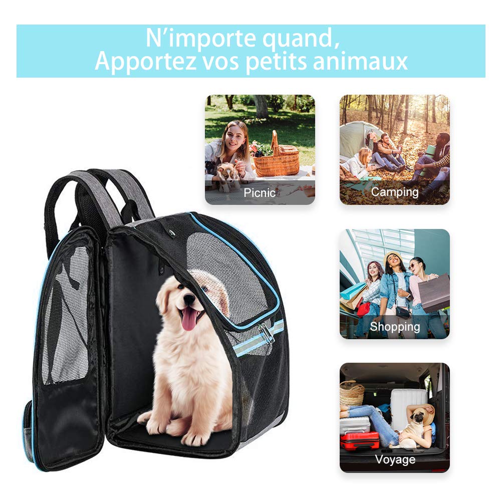 Sac De Transport Transparent Pour Chat/petit Chien - 42x27x34cm, Respirant, Pour Moto