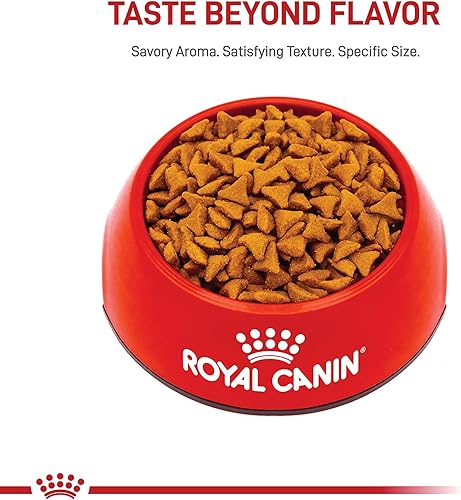 Miniatura 8 de Royal Canin Feline Care Nutrition Hairball Care Alimento seco para gatos adultos, bolsa de 3 libras