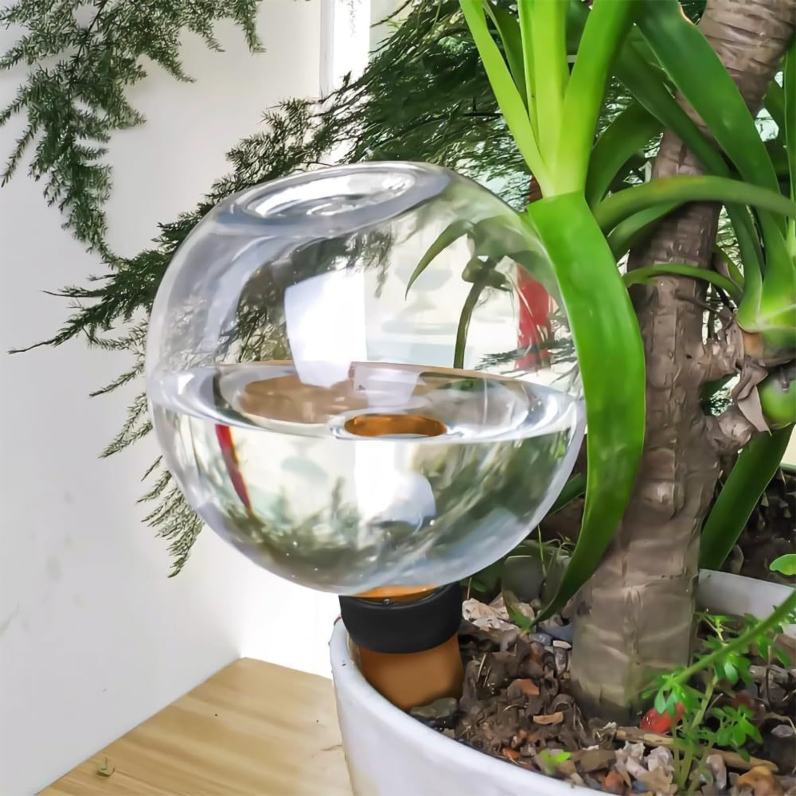 Generisch Bewässerungskugeln für Pflanzen 500ml (8 Stück), Wasserkugeln Für Pflanzen, Transparente Automatische Gießkugeln für Zimmerpflanzen, Balkon & Garten | Ideal für Urlaub, Büro & Alltag