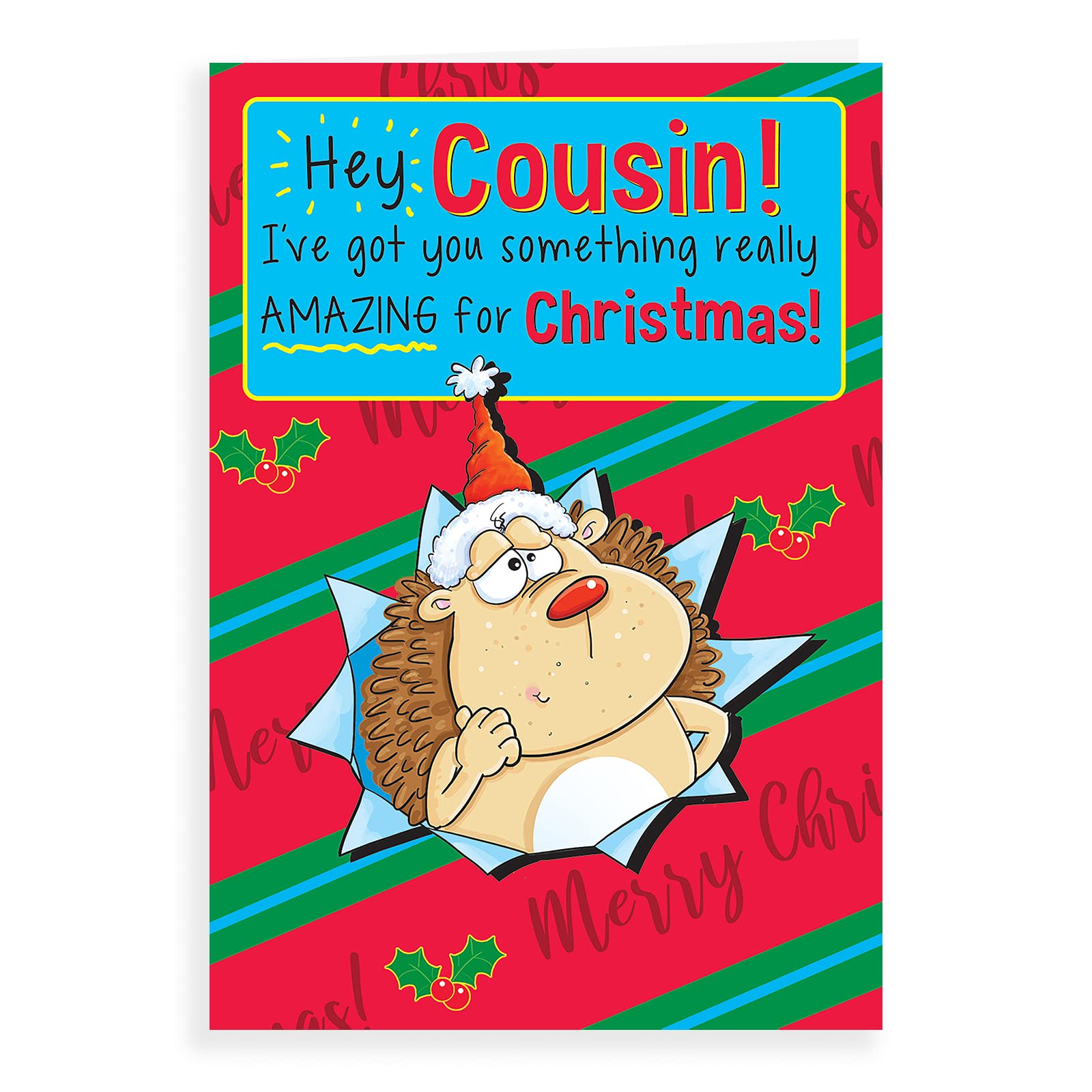 Humour Christmas Card Cousin - 9 x 6 inches - Regal Publishing, C85511