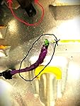 Review Image by Kel495 Kel495