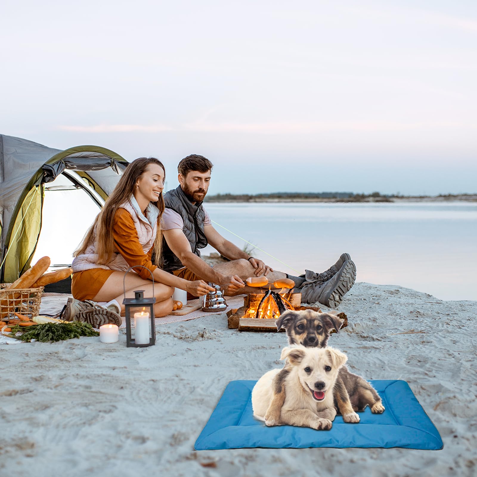 Hisprout Faltbare Haustiermatte Für Hunde & Katzen - Wasserdicht, 91x64 Cm, Für Reisen & Camping (Gelb)