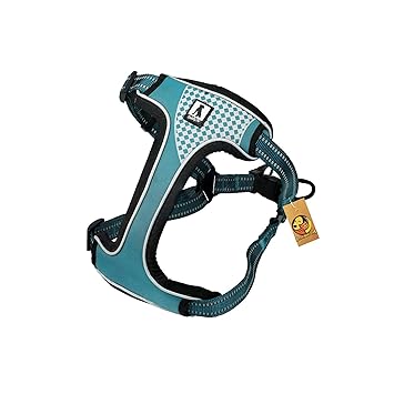 Foodie Puppies Nylon Reflective Flamingo Stitching Dog Chest Harness with Elastic Padded Handle - Size: Chest Girth 30-42cm (Small, Sea Green)