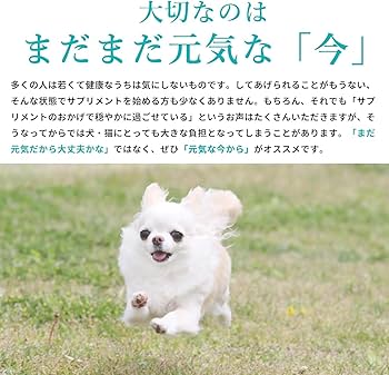 Amazon | コルディ G 100g 犬 猫 冬虫夏草 サプリ 国産 リーフレット