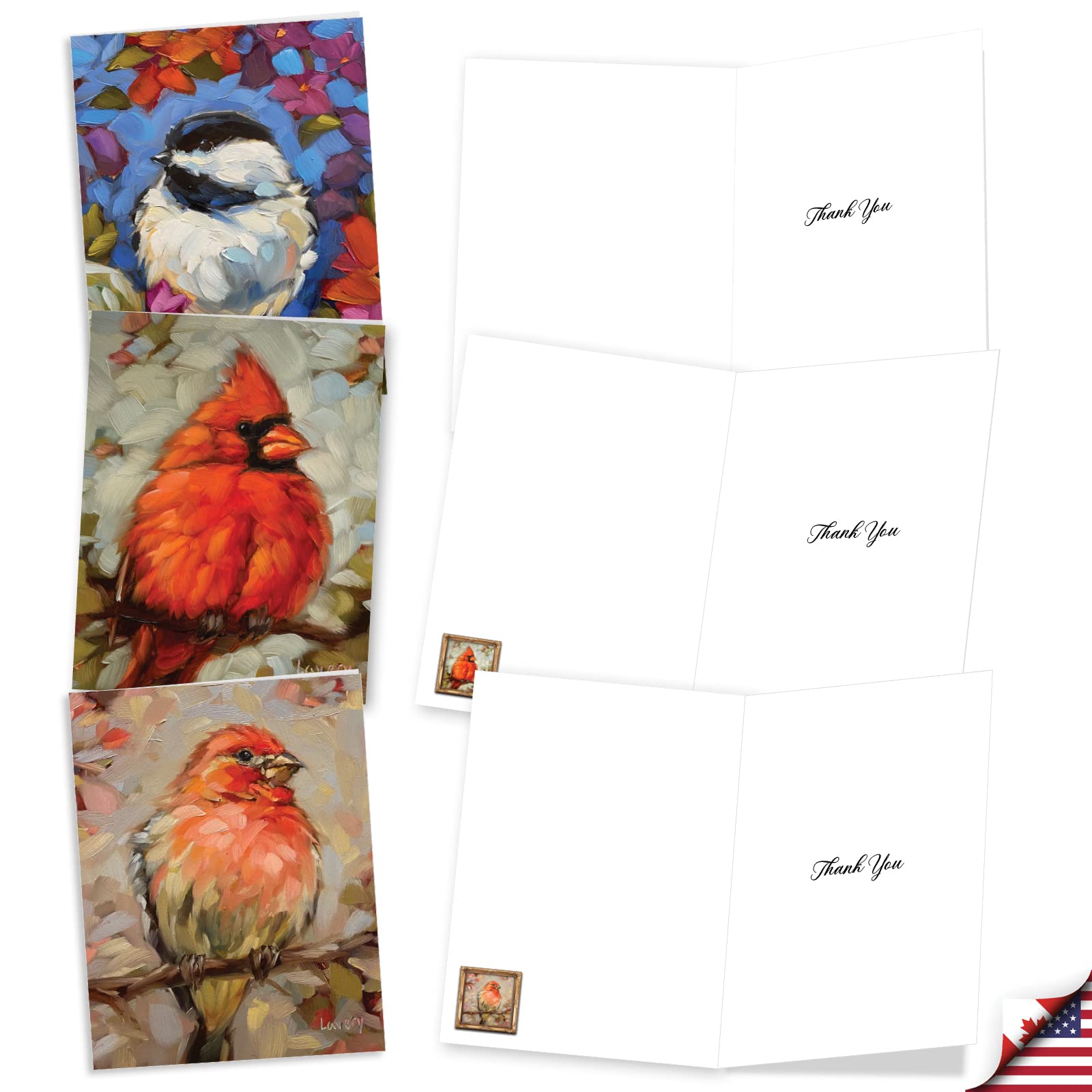 The Best Card Company Lot de 20 cartes de remerciement assorties 10 x 13 cm avec enveloppes (10 motifs, 2 de chaque) Bold Birds AM10347TYG-B2x10