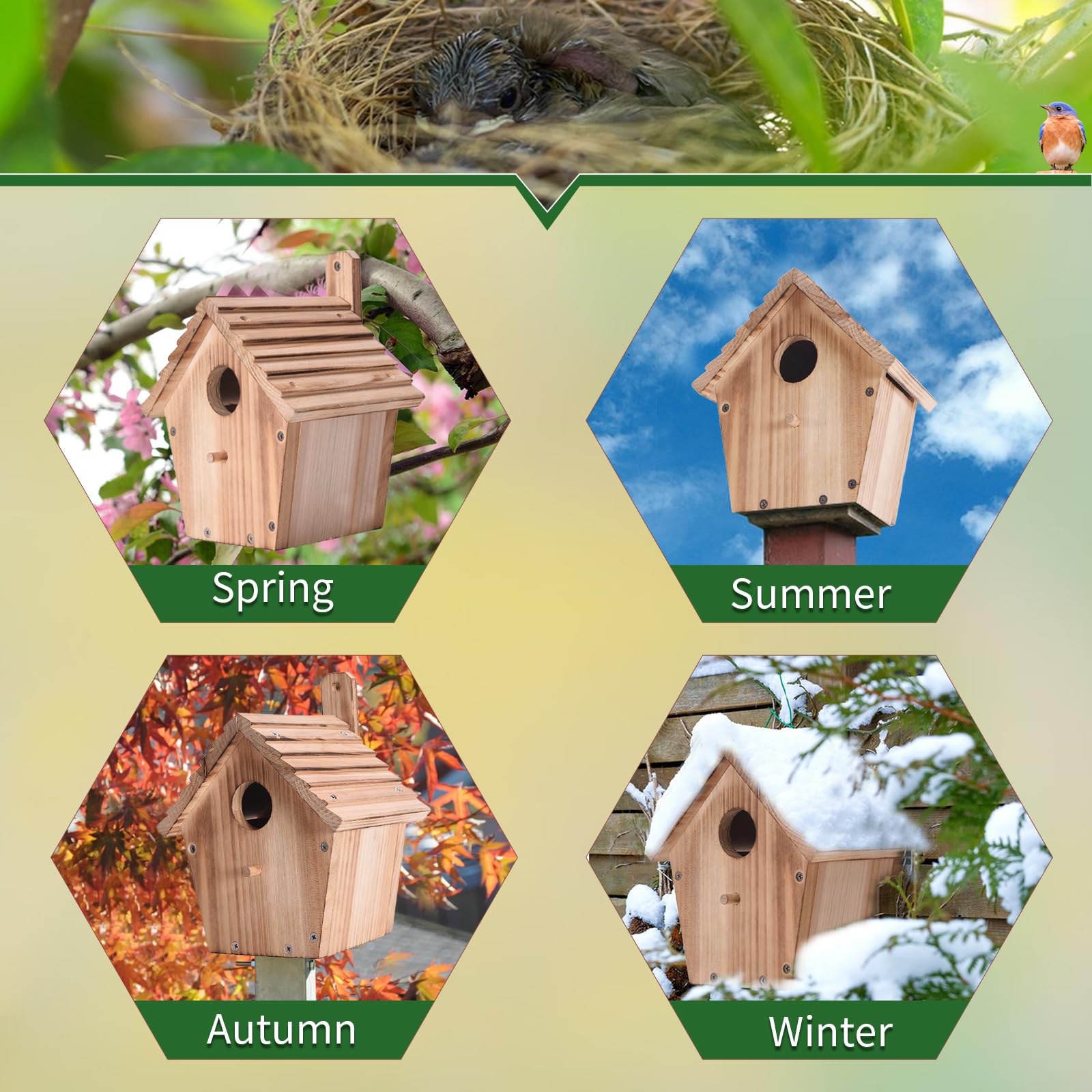 Zaunkönig-Vogelhaus Mit Blauem Dach – Aus Massivholz, Wetterfest, Mit Edelstahlhaken & Raubtierschutz