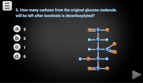 FCS - Cellular Respiration